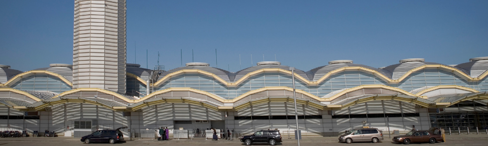 DCA Airport: Ronald Reagan Washington National Airport